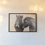 Bjarni and Imir II by Laura Marshall. shown as a paper print in a black flame. Available as a archival giclee rolled canvas, fine art paper, or poster print. SKU 49808i.