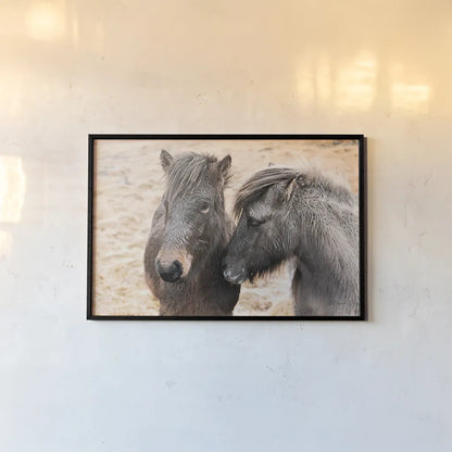 Bjarni and Imir II by Laura Marshall. shown as a paper print in a black flame. Available as a archival giclee rolled canvas, fine art paper, or poster print. SKU 49808i.