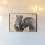 Bjarni and Imir II by Laura Marshall. shown as a paper print in a natural frame. Available as a archival giclee rolled canvas, fine art paper, or poster print. SKU 49808i.