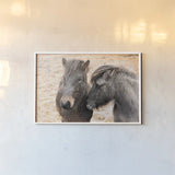 Bjarni and Imir II by Laura Marshall. shown as a paper print in a white frame. Available as a archival giclee rolled canvas, fine art paper, or poster print. SKU 49808i.