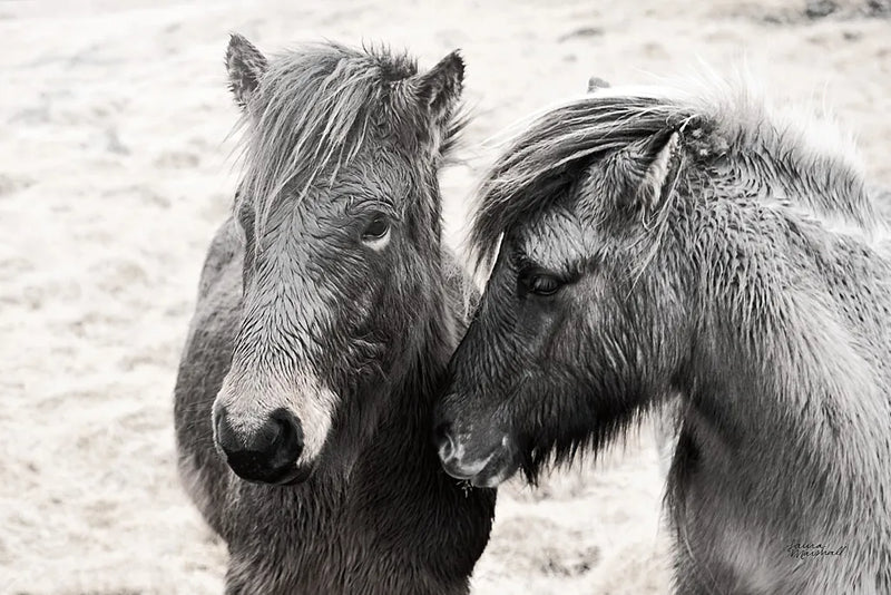 Bjarni and Imir II BW by Laura Marshall. SKU 49809i. Archival Giclee Fine art print for wall decor.