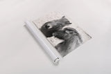 Bjarni and Imir II BW by Laura Marshall. shown as a rolled paper print. Available as archival giclee rolled canvas, fine art paper, or poster print. SKU 49809i.