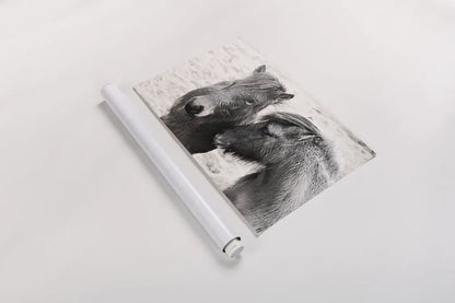 Bjarni and Imir II BW by Laura Marshall. shown as a rolled paper print. Available as archival giclee rolled canvas, fine art paper, or poster print. SKU 49809i.