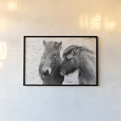 Bjarni and Imir II BW by Laura Marshall. shown as a paper print in a black flame. Available as a archival giclee rolled canvas, fine art paper, or poster print. SKU 49809i.