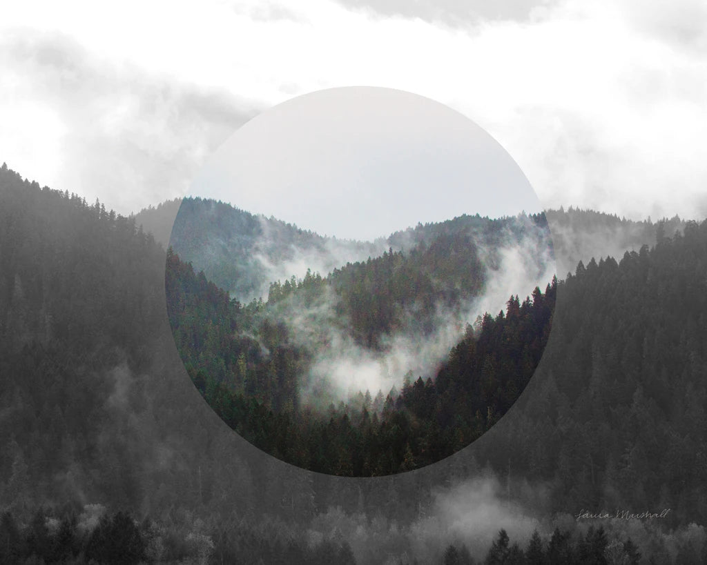 Bold Adventures IV v2 No Words Crop by Laura Marshall