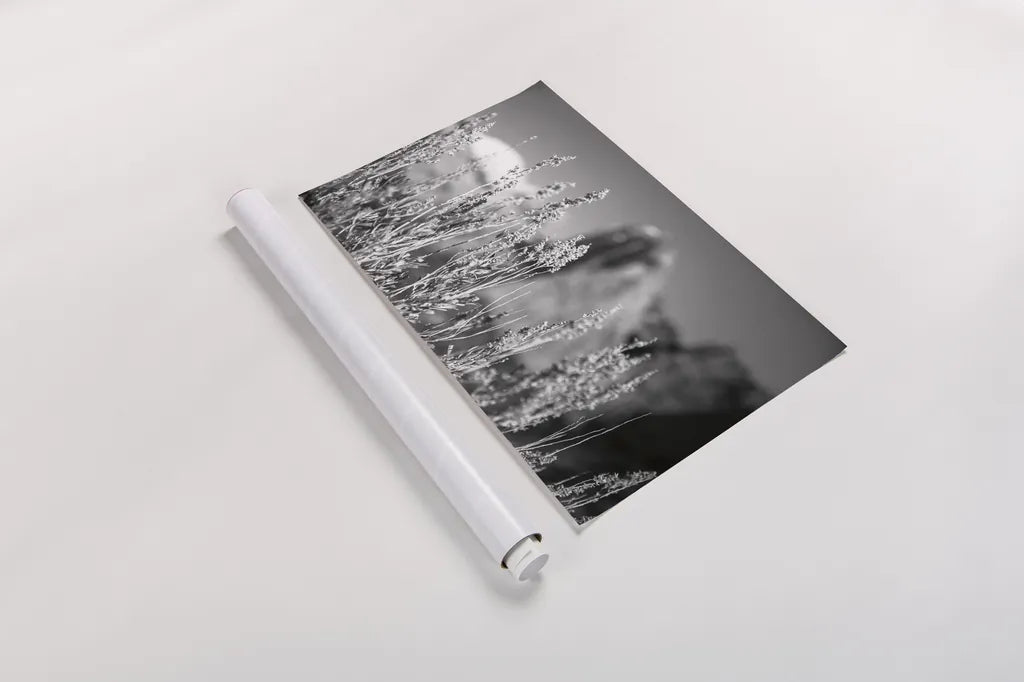 Canyon Sagebrush by Laura Marshall. shown as a rolled paper print. Available as archival giclee rolled canvas, fine art paper, or poster print. SKU 64406i.