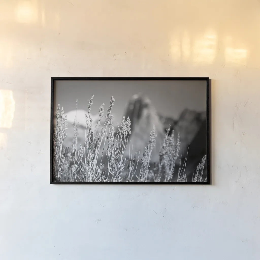 Canyon Sagebrush by Laura Marshall. shown as a paper print in a black flame. Available as a archival giclee rolled canvas, fine art paper, or poster print. SKU 64406i.