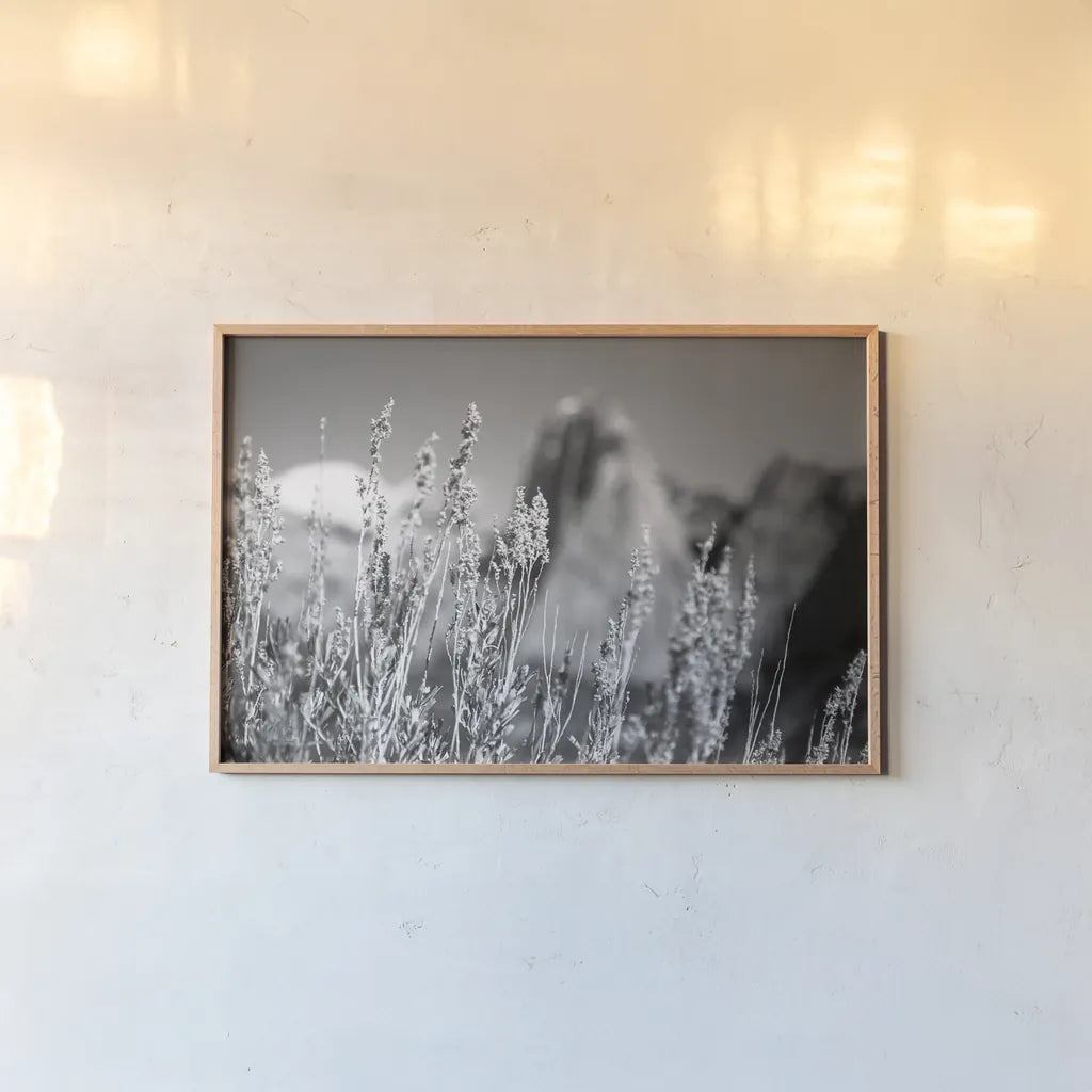 Canyon Sagebrush by Laura Marshall. shown as a paper print in a natural frame. Available as a archival giclee rolled canvas, fine art paper, or poster print. SKU 64406i.