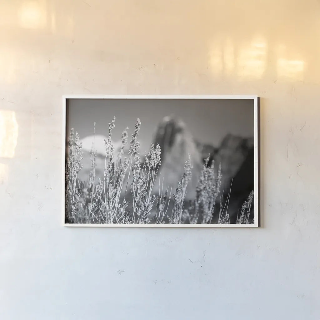Canyon Sagebrush by Laura Marshall. shown as a paper print in a white frame. Available as a archival giclee rolled canvas, fine art paper, or poster print. SKU 64406i.