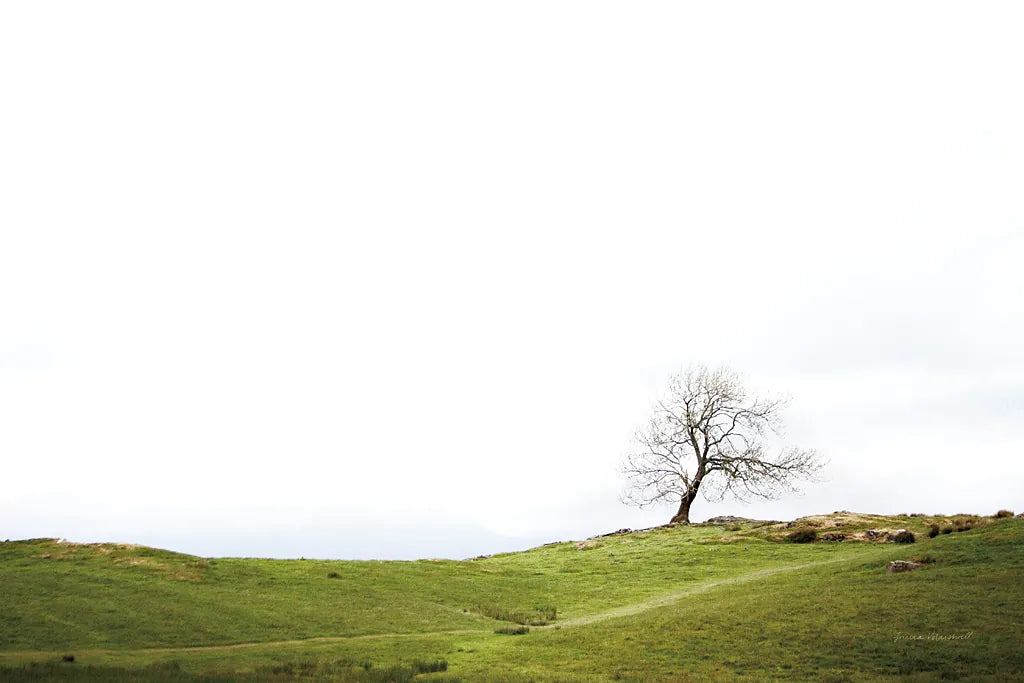 Dales Way I by Laura Marshall. SKU 63263i. Archival Giclee Fine art print for wall decor.