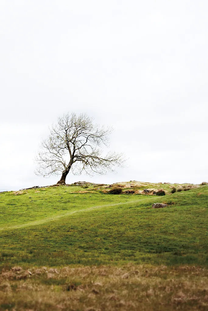 Dales Way II by Laura Marshall. SKU 63264h. Archival Giclee Fine art print for wall decor.