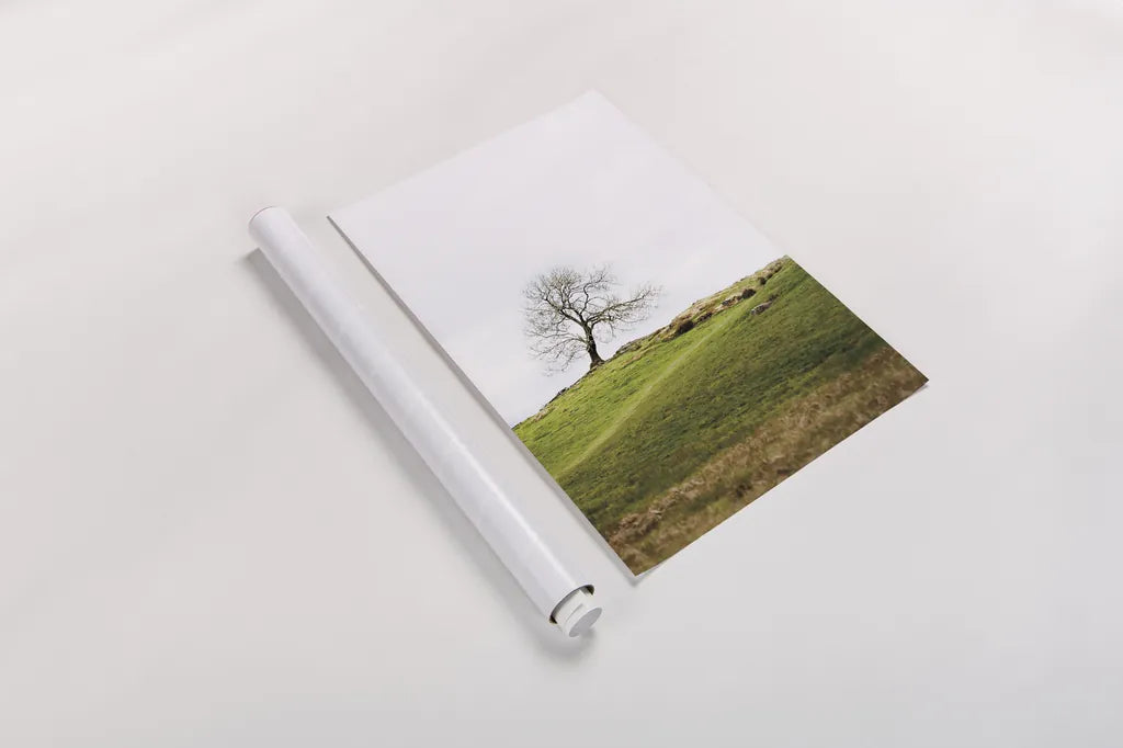 Dales Way II by Laura Marshall. shown as a rolled paper print. Available as archival giclee rolled canvas, fine art paper, or poster print. SKU 63264h.