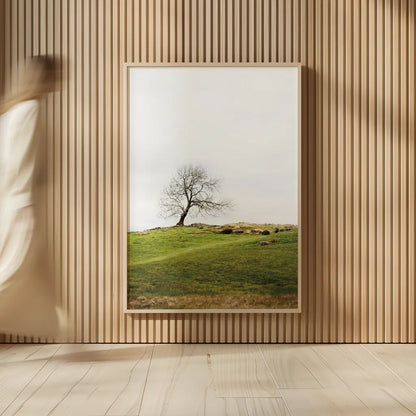 Dales Way II by Laura Marshall. shown as over sized large wall art. Available as an archival giclee rolled canvas, fine art paper, or poster print. SKU 63264h.