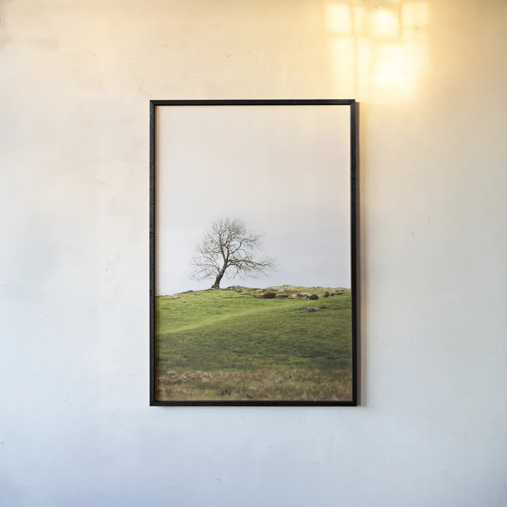 Dales Way II by Laura Marshall. shown as a paper print in a black flame. Available as a archival giclee rolled canvas, fine art paper, or poster print. SKU 63264h.