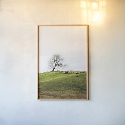 Dales Way II by Laura Marshall. shown as a paper print in a natural frame. Available as a archival giclee rolled canvas, fine art paper, or poster print. SKU 63264h.