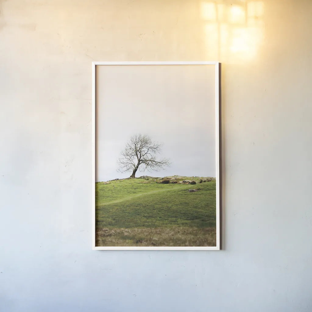 Dales Way II by Laura Marshall. shown as a paper print in a white frame. Available as a archival giclee rolled canvas, fine art paper, or poster print. SKU 63264h.