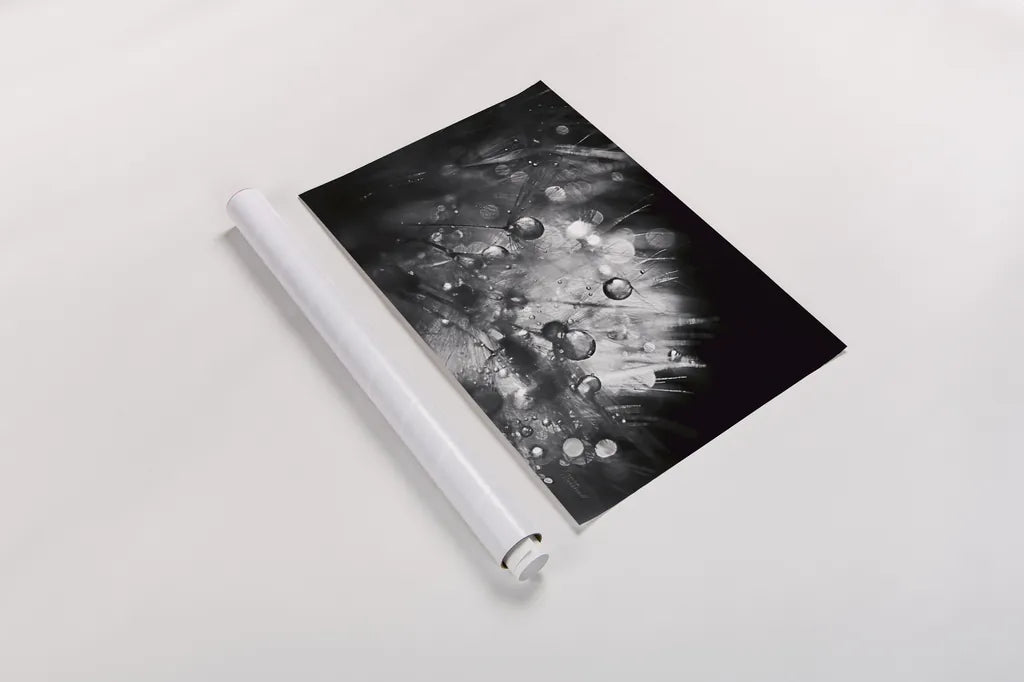 Dandelion Abstract I by Laura Marshall. shown as a rolled paper print. Available as archival giclee rolled canvas, fine art paper, or poster print. SKU 55008i.