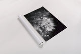 Dandelion Abstract I by Laura Marshall. shown as a rolled paper print. Available as archival giclee rolled canvas, fine art paper, or poster print. SKU 55008i.