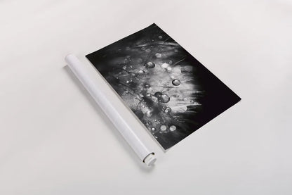 Dandelion Abstract I by Laura Marshall. shown as a rolled paper print. Available as archival giclee rolled canvas, fine art paper, or poster print. SKU 55008i.