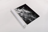 Dandelion Abstract II by Laura Marshall. shown as a rolled paper print. Available as archival giclee rolled canvas, fine art paper, or poster print. SKU 55009i.
