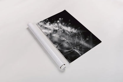 Dandelion Abstract II by Laura Marshall. shown as a rolled paper print. Available as archival giclee rolled canvas, fine art paper, or poster print. SKU 55009i.