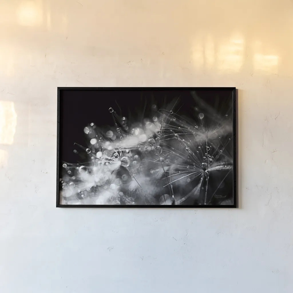 Dandelion Abstract II by Laura Marshall. shown as a paper print in a black flame. Available as a archival giclee rolled canvas, fine art paper, or poster print. SKU 55009i.