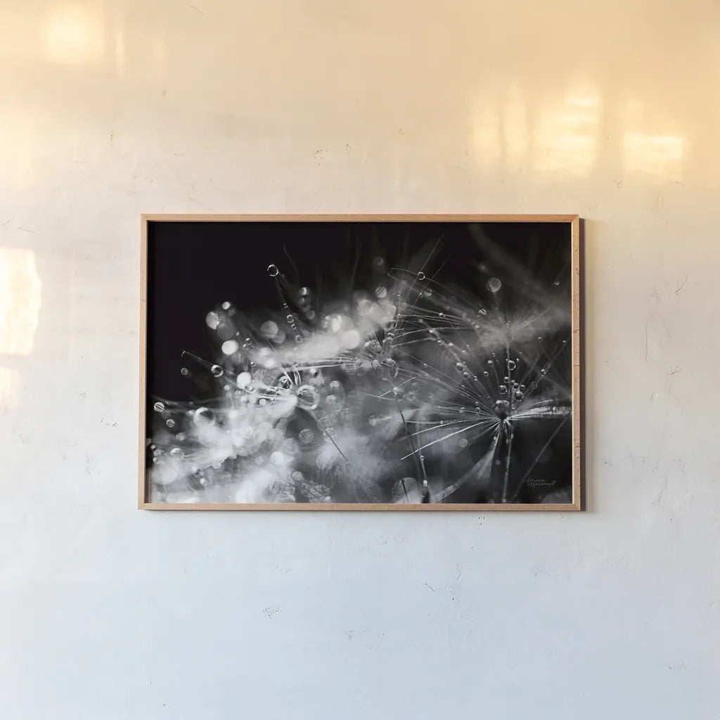 Dandelion Abstract II by Laura Marshall. shown as a paper print in a natural frame. Available as a archival giclee rolled canvas, fine art paper, or poster print. SKU 55009i.