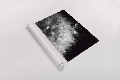Dandelion Dewdrops I by Laura Marshall. shown as a rolled paper print. Available as archival giclee rolled canvas, fine art paper, or poster print. SKU 55010i.