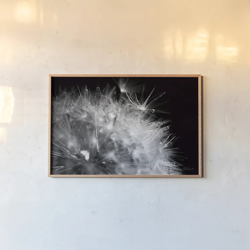 Dandelion Dewdrops I by Laura Marshall. shown as a paper print in a natural frame. Available as a archival giclee rolled canvas, fine art paper, or poster print. SKU 55010i.