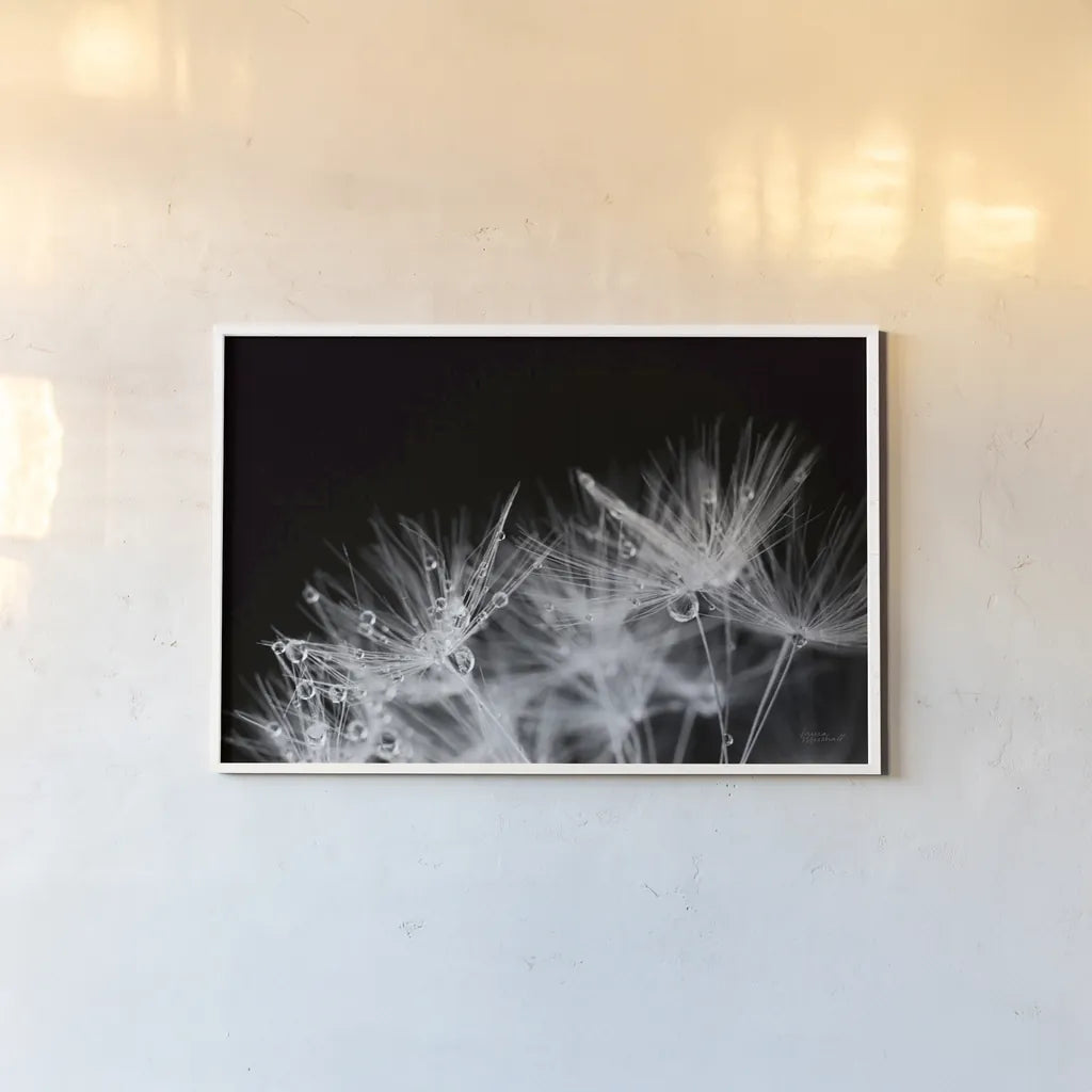 Dandelion Dewdrops II by Laura Marshall. shown as a paper print in a white frame. Available as a archival giclee rolled canvas, fine art paper, or poster print. SKU 55011i.