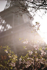 Eiffel Tower in Spring by Laura Marshall. SKU 17909h. Archival Giclee Fine art print for wall decor.