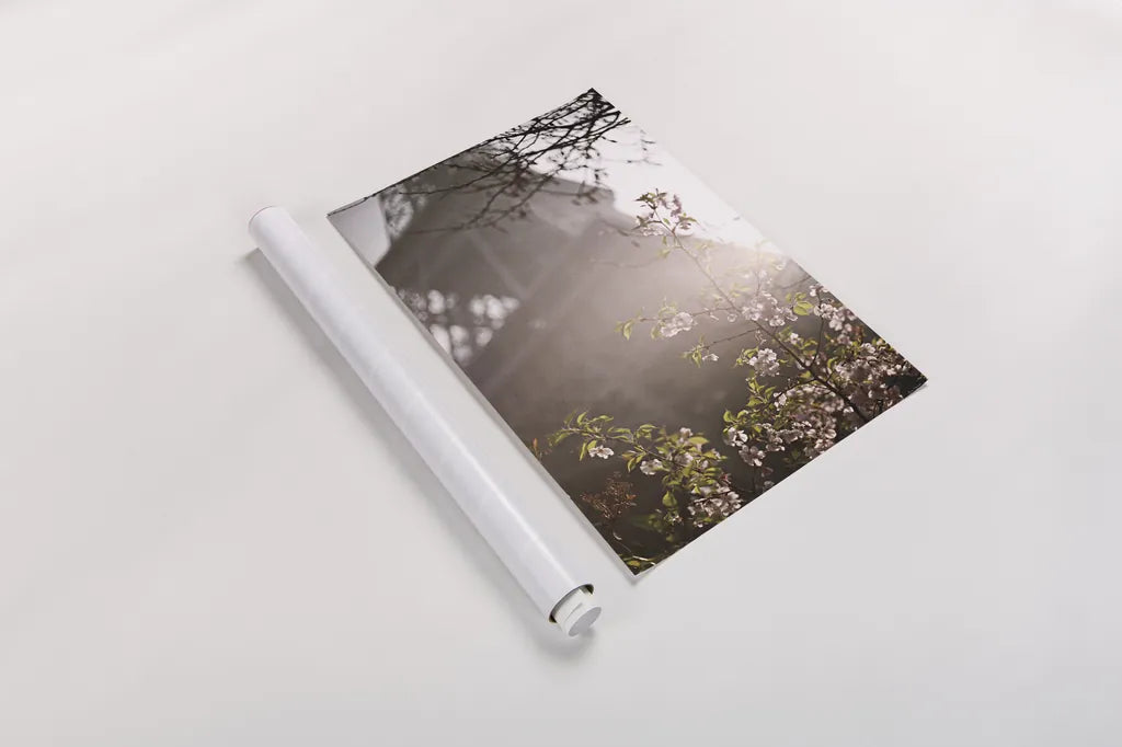 Eiffel Tower in Spring by Laura Marshall. shown as a rolled paper print. Available as archival giclee rolled canvas, fine art paper, or poster print. SKU 17909h.