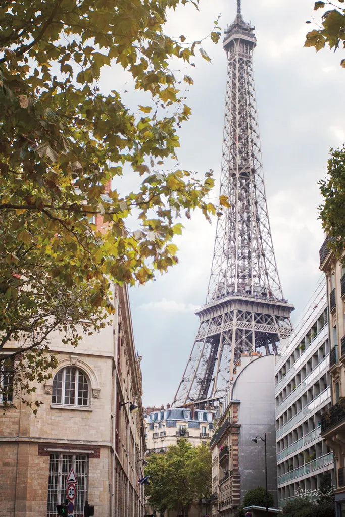 Eiffel View II by Laura Marshall. SKU 30543h. Archival Giclee Fine art print for wall decor.