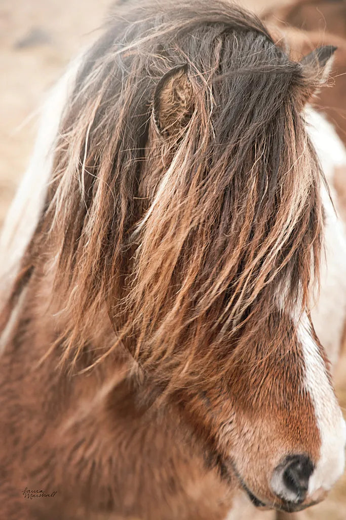 Elska I by Laura Marshall. SKU 49814h. Archival Giclee Fine art print for wall decor.