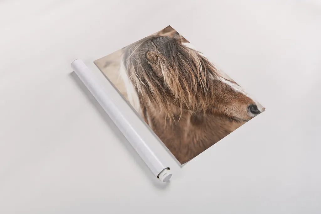 Elska I by Laura Marshall. shown as a rolled paper print. Available as archival giclee rolled canvas, fine art paper, or poster print. SKU 49814h.