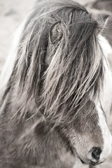 Elska I BW by Laura Marshall. SKU 49815h. Archival Giclee Fine art print for wall decor.