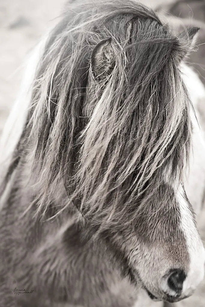 Elska I BW by Laura Marshall. SKU 49815h. Archival Giclee Fine art print for wall decor.