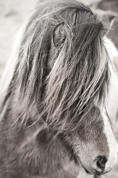 Elska I BW by Laura Marshall. SKU 49815h. Archival Giclee Fine art print for wall decor.