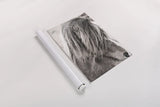 Elska I BW by Laura Marshall. shown as a rolled paper print. Available as archival giclee rolled canvas, fine art paper, or poster print. SKU 49815h.