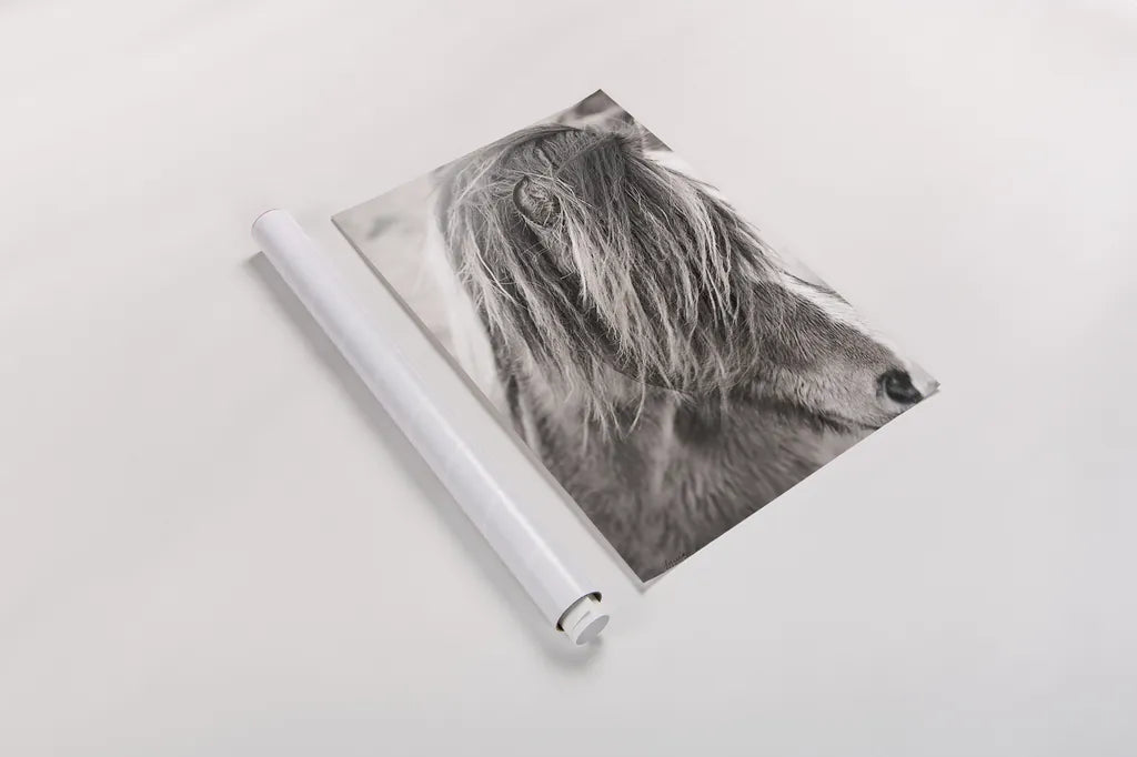 Elska I BW by Laura Marshall. shown as a rolled paper print. Available as archival giclee rolled canvas, fine art paper, or poster print. SKU 49815h.