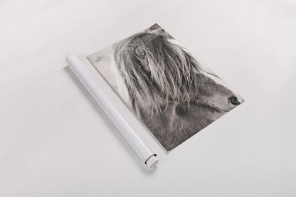 Elska I BW by Laura Marshall. shown as a rolled paper print. Available as archival giclee rolled canvas, fine art paper, or poster print. SKU 49815h.