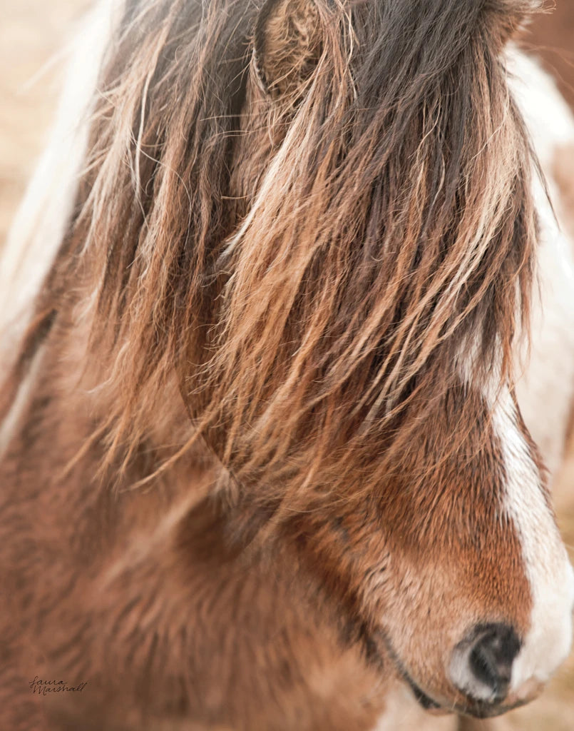 Elska I Crop by Laura Marshall