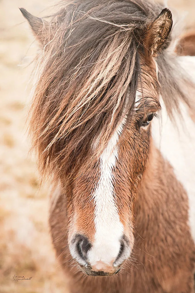 Elska II by Laura Marshall. SKU 49816h. Archival Giclee Fine art print for wall decor.