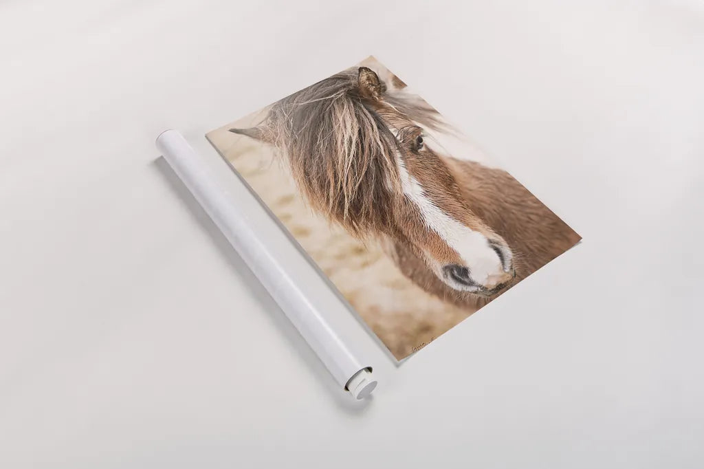 Elska II by Laura Marshall. shown as a rolled paper print. Available as archival giclee rolled canvas, fine art paper, or poster print. SKU 49816h.