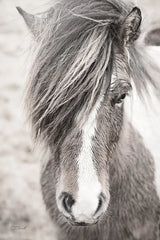 Elska II BW by Laura Marshall. SKU 49817h. Archival Giclee Fine art print for wall decor.