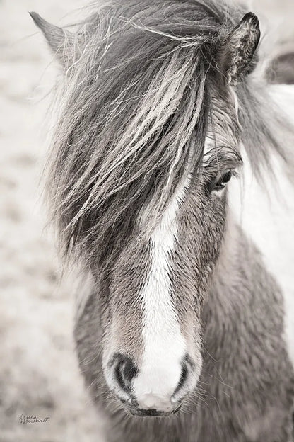 Elska II BW by Laura Marshall. SKU 49817h. Archival Giclee Fine art print for wall decor.