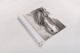 Elska II BW by Laura Marshall. shown as a rolled paper print. Available as archival giclee rolled canvas, fine art paper, or poster print. SKU 49817h.