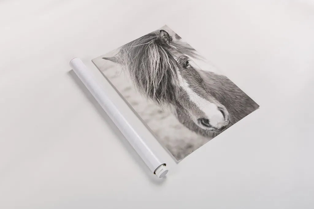 Elska II BW by Laura Marshall. shown as a rolled paper print. Available as archival giclee rolled canvas, fine art paper, or poster print. SKU 49817h.