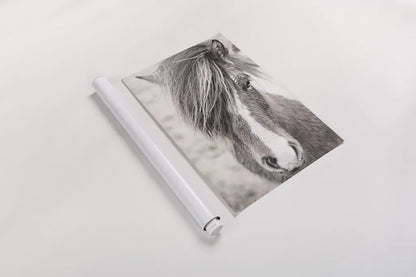 Elska II BW by Laura Marshall. shown as a rolled paper print. Available as archival giclee rolled canvas, fine art paper, or poster print. SKU 49817h.