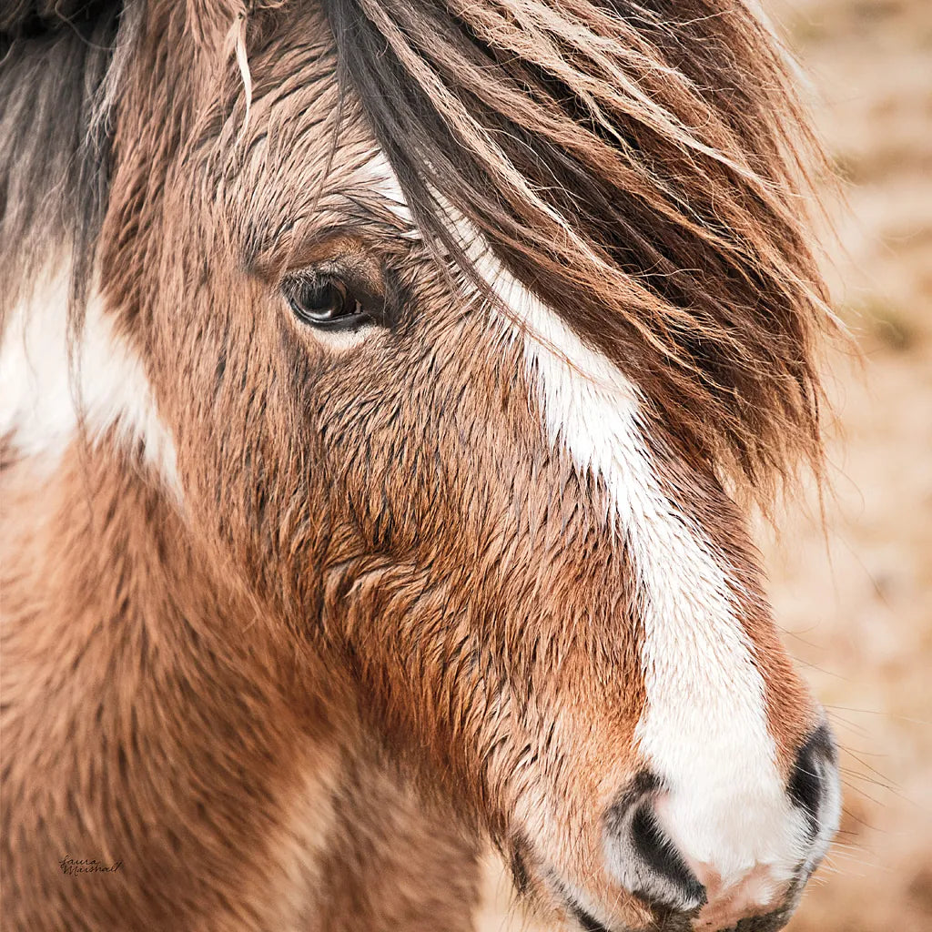 Elska III by Laura Marshall. SKU 49818a. Archival Giclee Fine art print for wall decor.